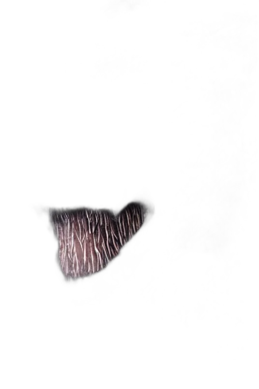 hair, mask, face, creature transparent PNG cut-out