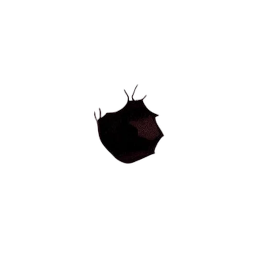 crown, hat, hair, food transparent PNG cut-out