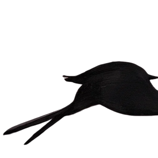 hat, umbrella, mask, animal, 3d render, photorealistic, concept art, dark transparent PNG cut-out