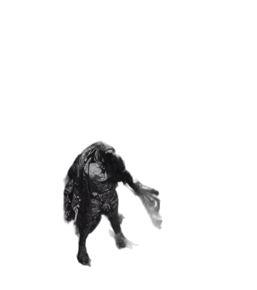 creature, animal, dragon, hair transparent PNG cut-out