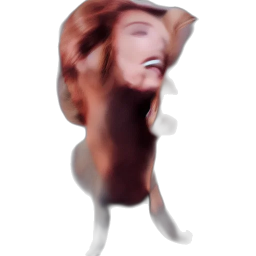 face, creature, animal, hair transparent PNG cut-out