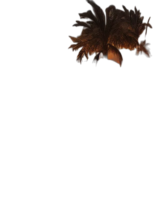 hair, dragon, creature, animal transparent PNG cut-out