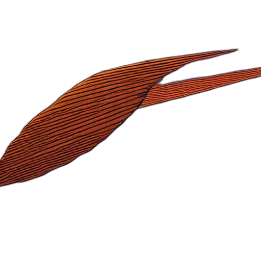 staff, hair, jewelry, hat transparent PNG cut-out