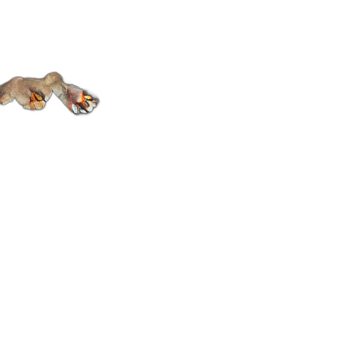 animal, dragon, shoes, creature transparent PNG cut-out