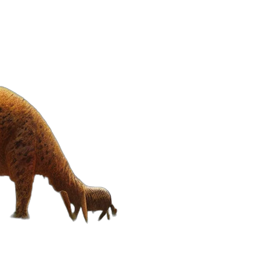 animal, creature, hair, staff transparent PNG cut-out