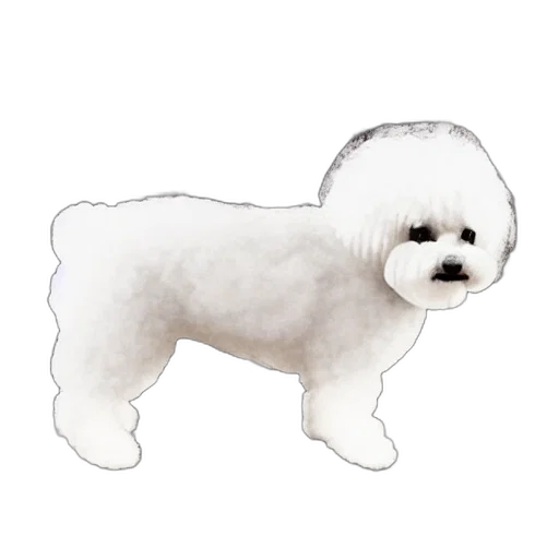 animal, creature, hair, staff transparent PNG cut-out