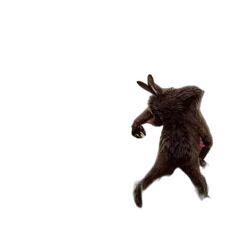 animal, creature, dragon, hair transparent PNG cut-out