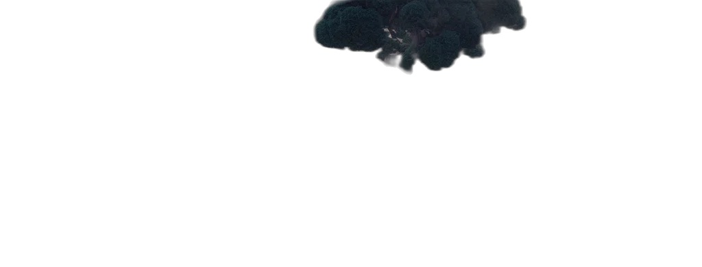 umbrella, hair, dragon, tree transparent PNG cut-out