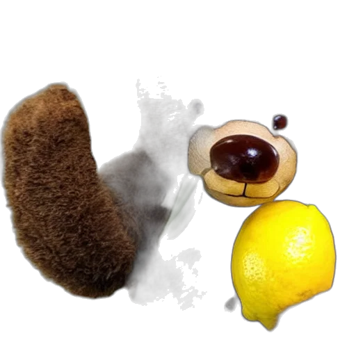 food, animal, creature, staff transparent PNG cut-out