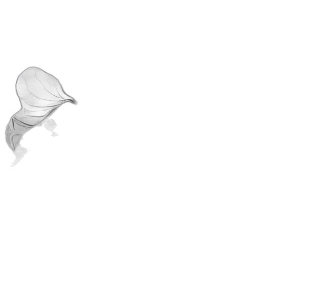 animal, flower, hat, weapon, 3d render, photorealistic, concept art, pixel art transparent PNG cut-out