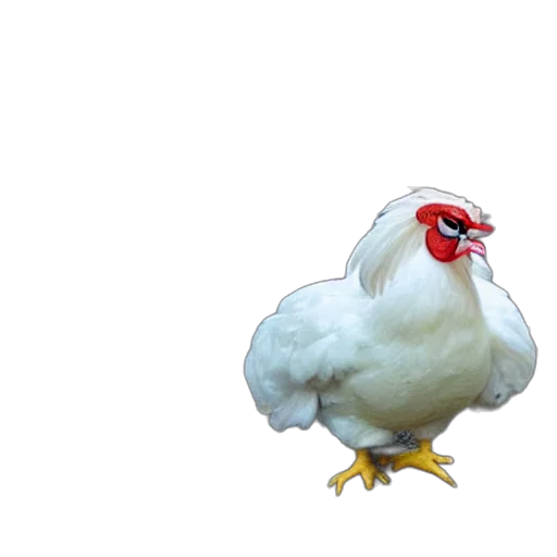 animal, food, creature, weapon transparent PNG cut-out