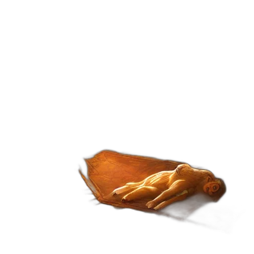 food, shoes, animal, jacket transparent PNG cut-out