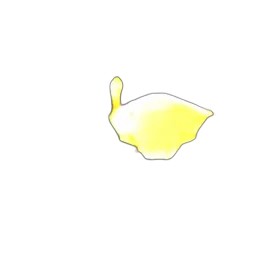 hat, crown, food, mask, photorealistic, 3d render, pixel art, concept art transparent PNG cut-out