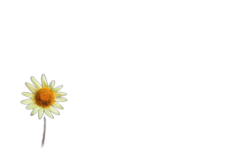 flower, crown, weapon, dress transparent PNG cut-out