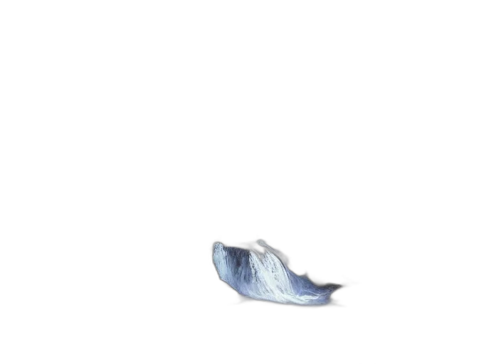 shoes, dragon, hair, creature transparent PNG cut-out