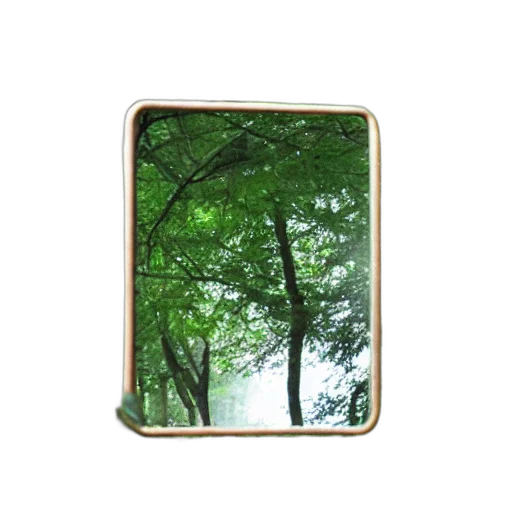 tree, jewelry, furniture, photorealistic, 3d render, forest, rain, fog transparent PNG cut-out