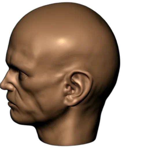 face, mask, hair, hat, photorealistic, 3d render, concept art, human transparent PNG cut-out