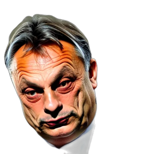 face, mask, creature, animal, photorealistic, cartoon, viktor, orban transparent PNG cut-out