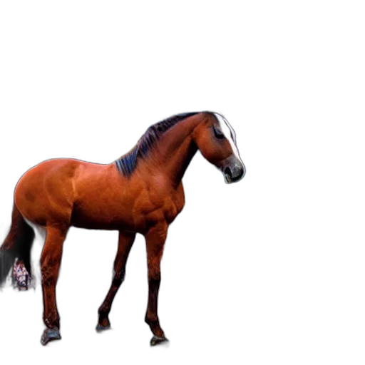 animal, creature, hair, dragon transparent PNG cut-out