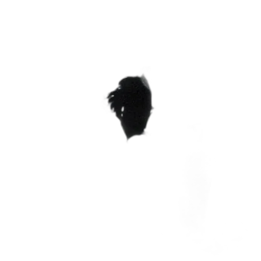mask, hair, hat, crown transparent PNG cut-out