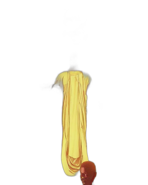 dress, staff, bottle, weapon transparent PNG cut-out