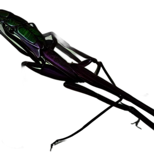 weapon, staff, umbrella, animal, concept art, 3d render, cyberpunk, photorealistic transparent PNG cut-out