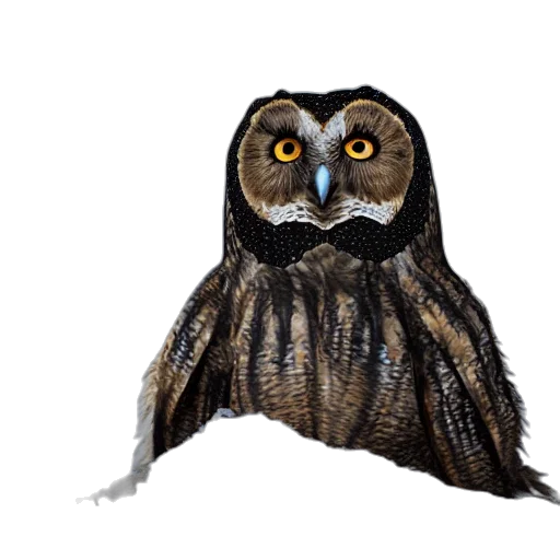 animal, creature, staff, jacket transparent PNG cut-out