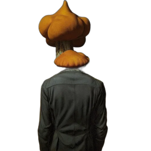 hat, jacket, staff, hair transparent PNG cut-out