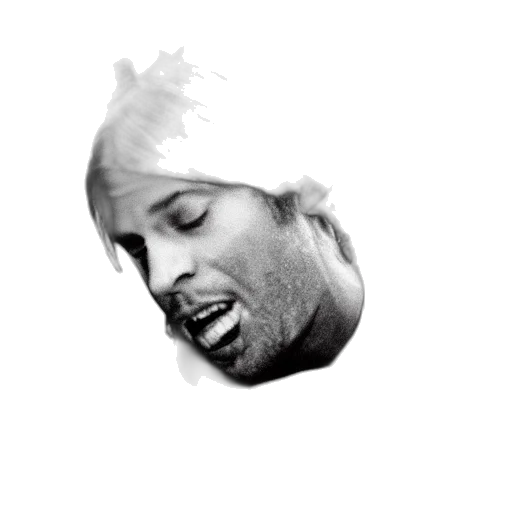 face, hair, hat, crown, photorealistic, pixel art, cartoon, kurt transparent PNG cut-out