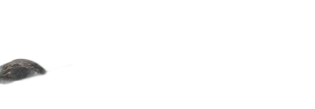 staff, face, monochrome, pastel transparent PNG cut-out