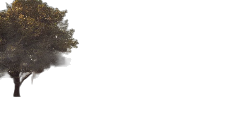 tree, dragon, hair, dress, photorealistic, 3d render, concept art, fantasy art transparent PNG cut-out