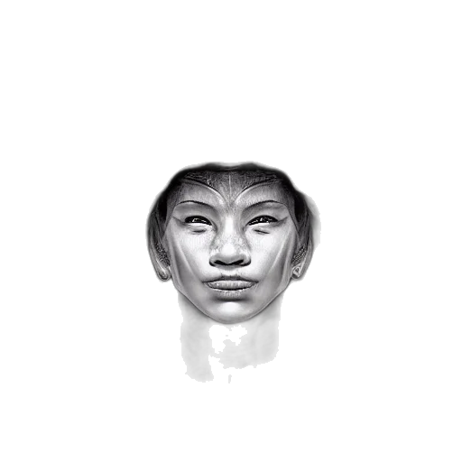 face, mask, creature, crown, photorealistic, pencil sketch, 3d render, concept art transparent PNG cut-out