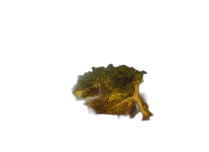 dragon, creature, animal, hat transparent PNG cut-out
