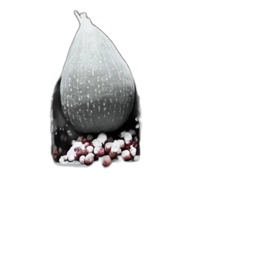 jewelry, food, bottle, crown transparent PNG cut-out