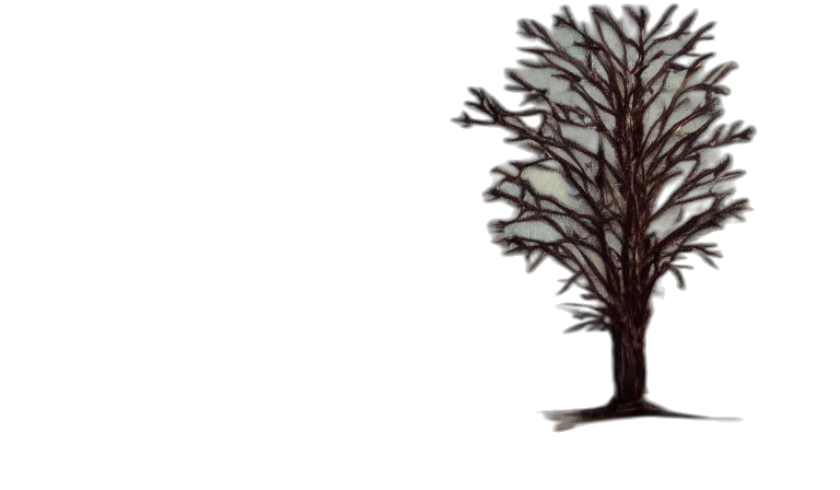 tree, crown, hair, staff transparent PNG cut-out