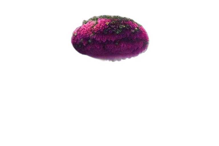 hat, hair, food, crown, 3d render, photorealistic, concept art, vaporwave transparent PNG cut-out