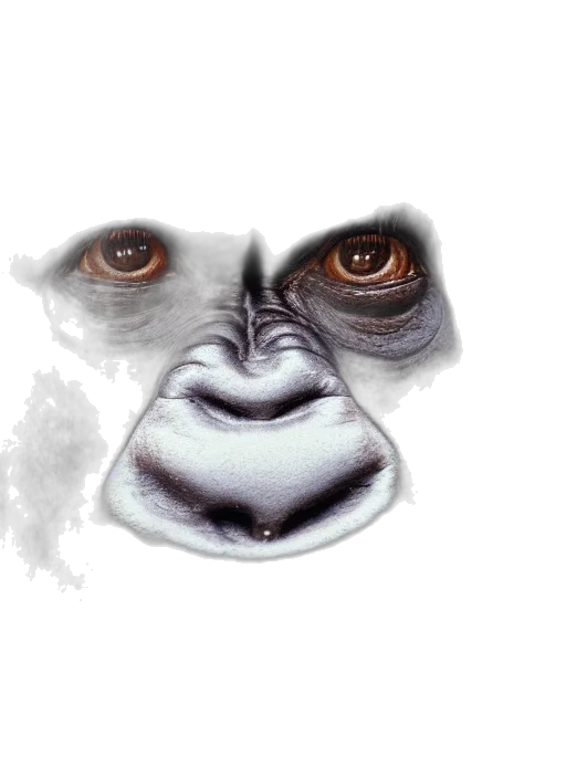 mask, face, creature, animal transparent PNG cut-out
