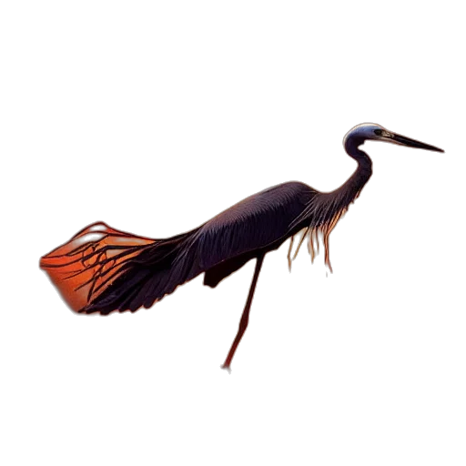 animal, staff, hair, creature transparent PNG cut-out