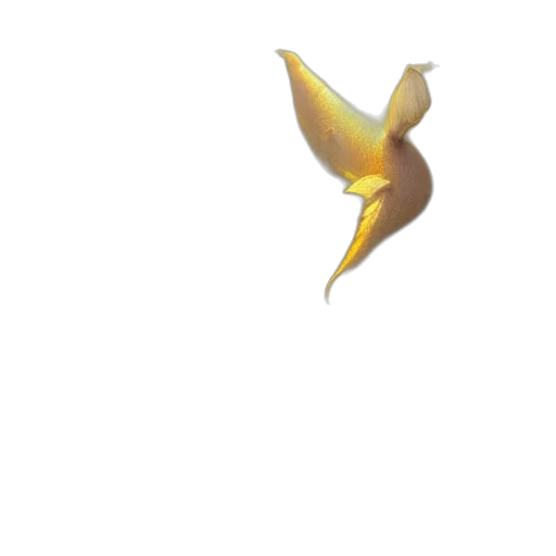 crown, flower, dragon, weapon transparent PNG cut-out