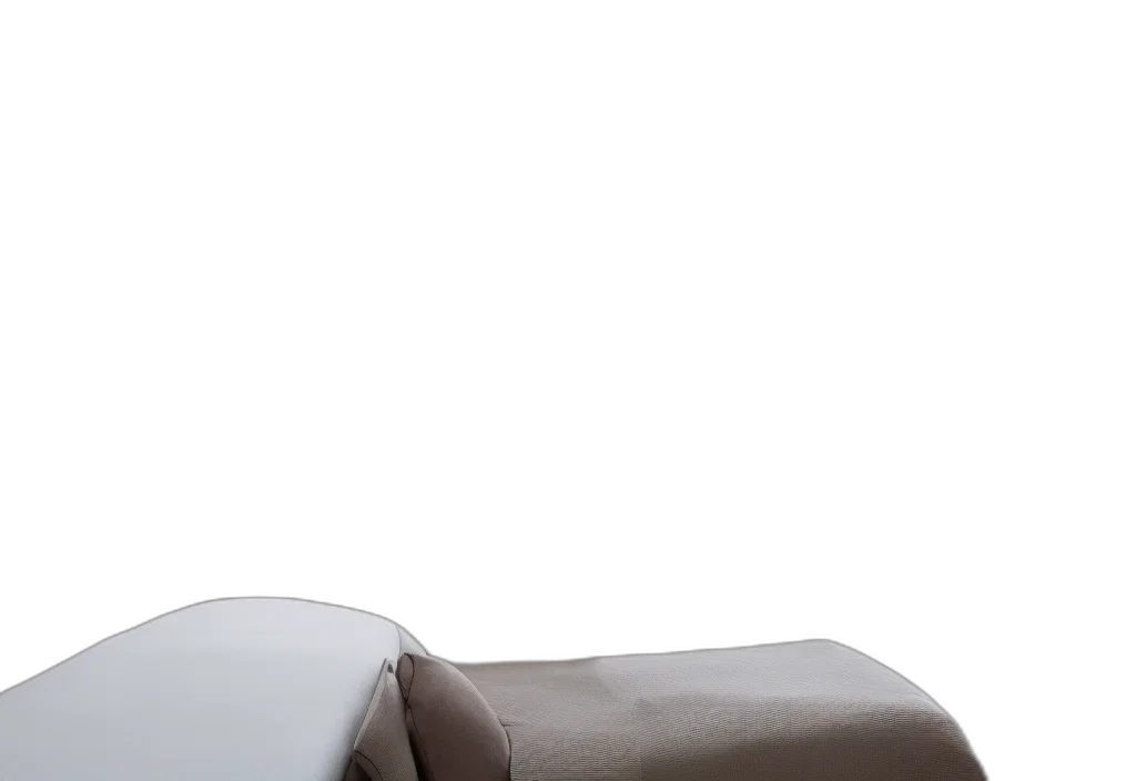 furniture, crown, robot, hair, 3d render, photorealistic, earth tones, monochrome transparent PNG cut-out