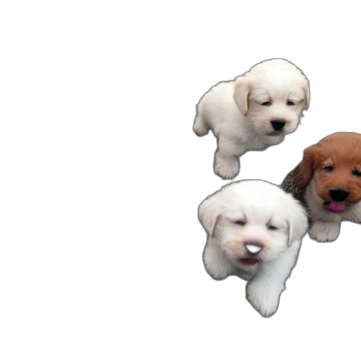 animal, creature, staff, 3d render, photorealistic, pixel art, concept art, puppies transparent PNG cut-out