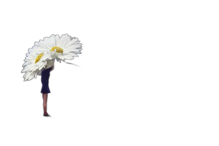 flower, umbrella, crown, hair, concept art, anime, cartoon, pixel art transparent PNG cut-out