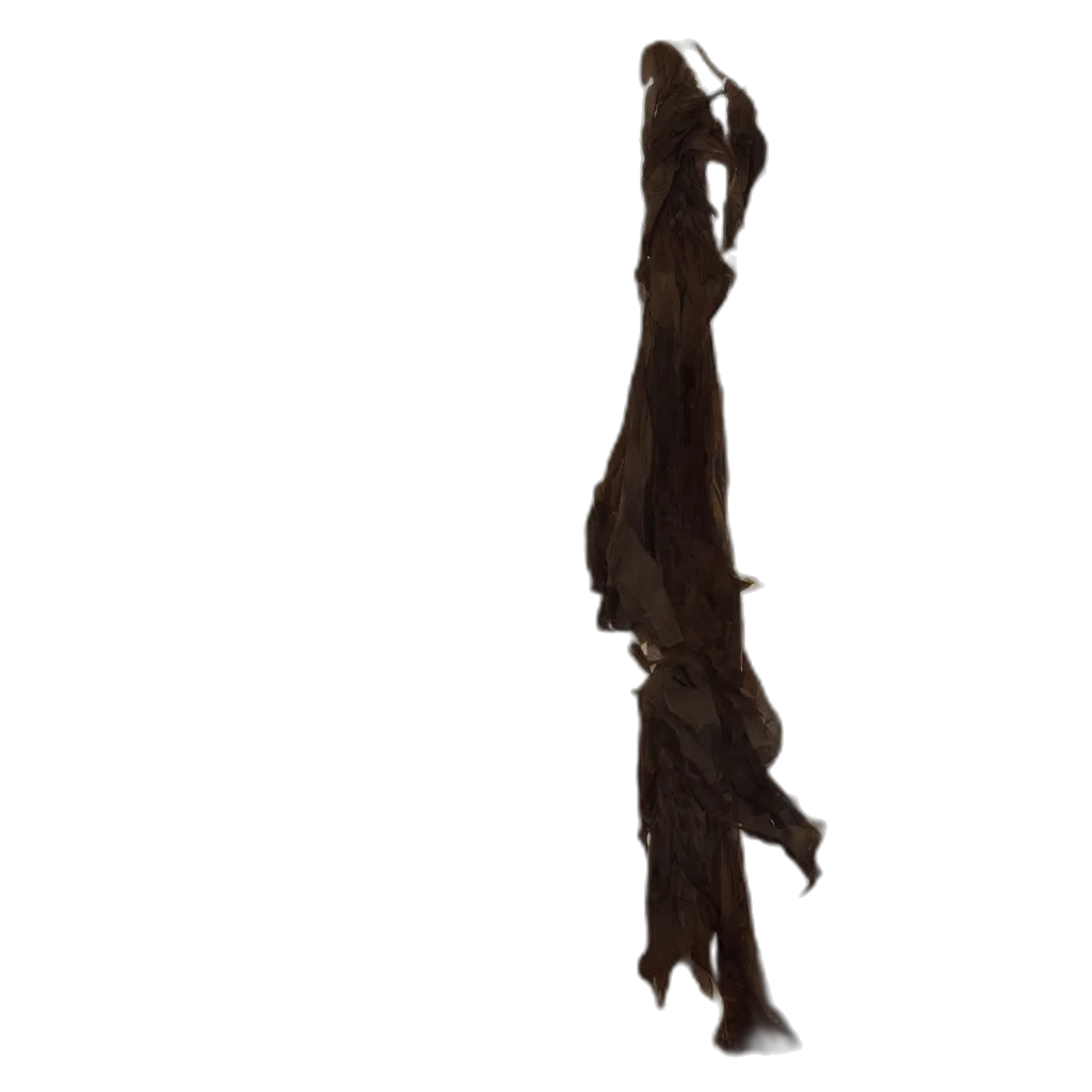 staff, dress, hair, weapon transparent PNG cut-out