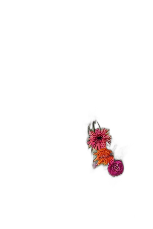 jewelry, flower, crown, staff, colorful, vintage, botanical, poster transparent PNG cut-out
