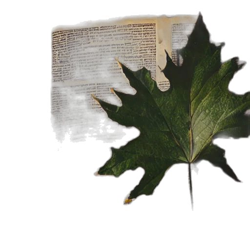 crown, photorealistic, concept art, art transparent PNG cut-out