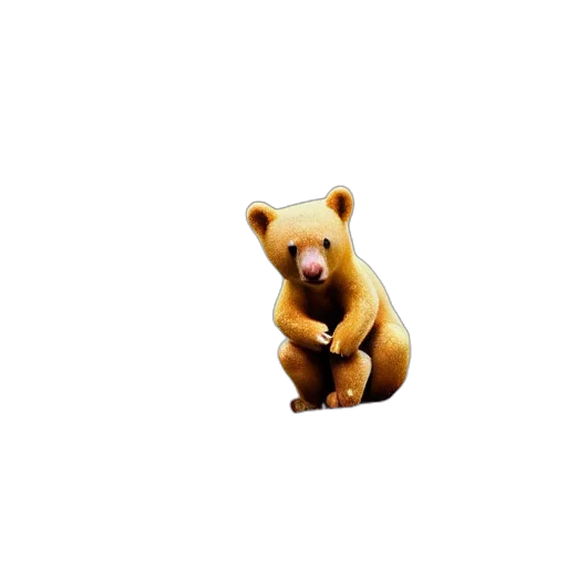 animal, creature, face, furniture transparent PNG cut-out