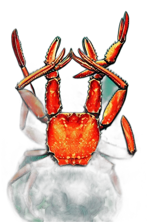 crown, animal, creature, mask transparent PNG cut-out