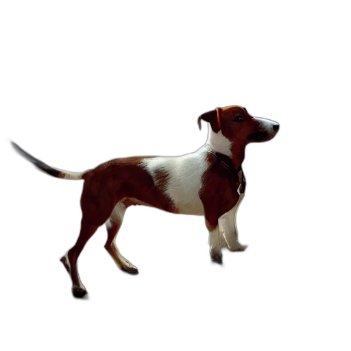animal, staff, creature, photorealistic transparent PNG cut-out