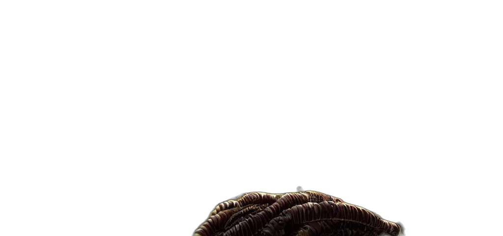 hair, hat, crown, creature, photorealistic, 3d render, concept art, pixel art transparent PNG cut-out