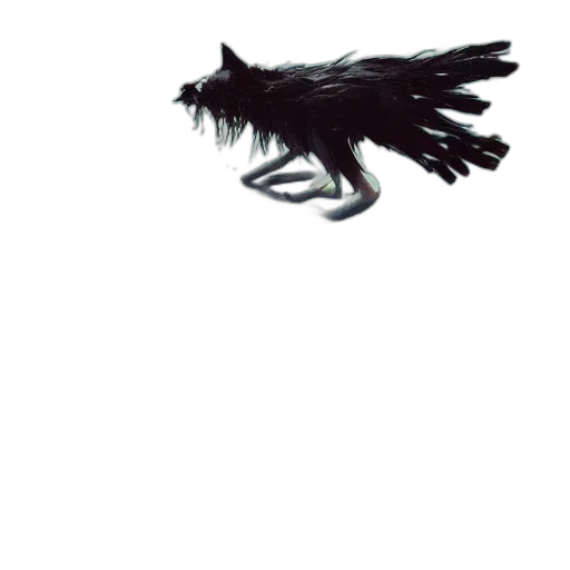dragon, creature, animal, hair, concept art, fantasy art, pixel art, photorealistic transparent PNG cut-out